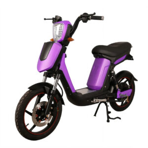 INDIGO-ES-1012